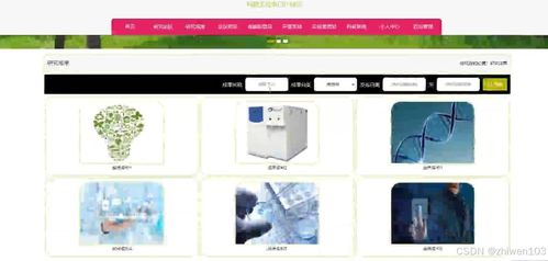 基于Node.js與Vue.js的科研實(shí)驗(yàn)室門戶網(wǎng)站設(shè)計(jì)與實(shí)現(xiàn)